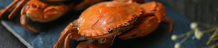 How to Cook Crab Meat? (4 Steps to Prepare It Like a Pro)